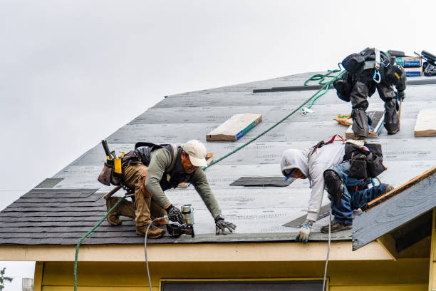 Professional Emergency Roof Repair technician working in La Crosse, WI